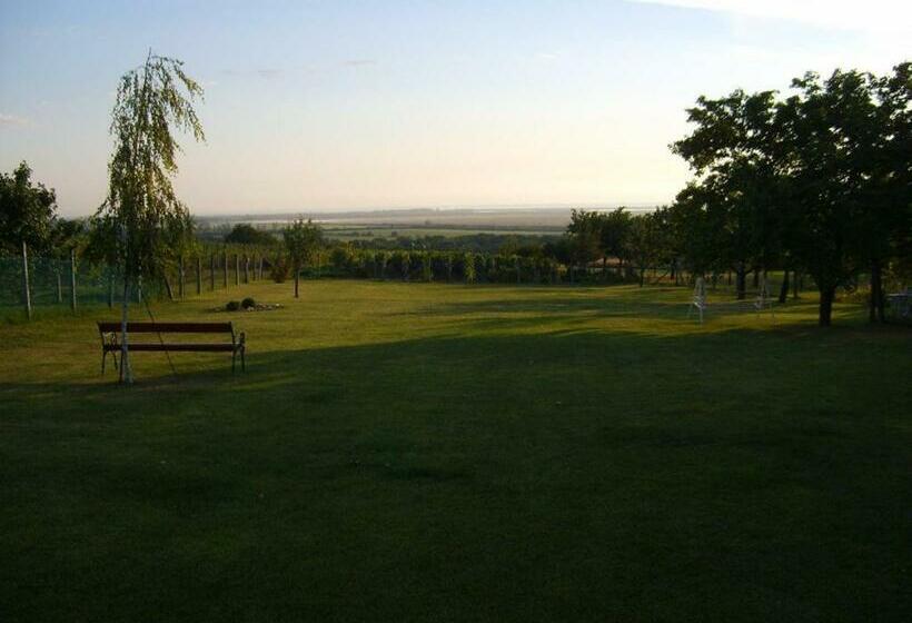 Bed and Breakfast Szűts Panzió