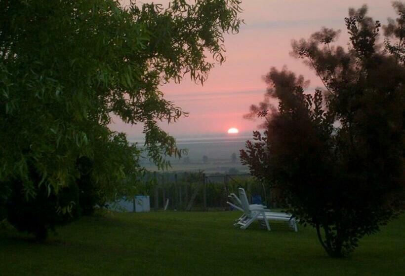 Bed and Breakfast Szűts Panzió