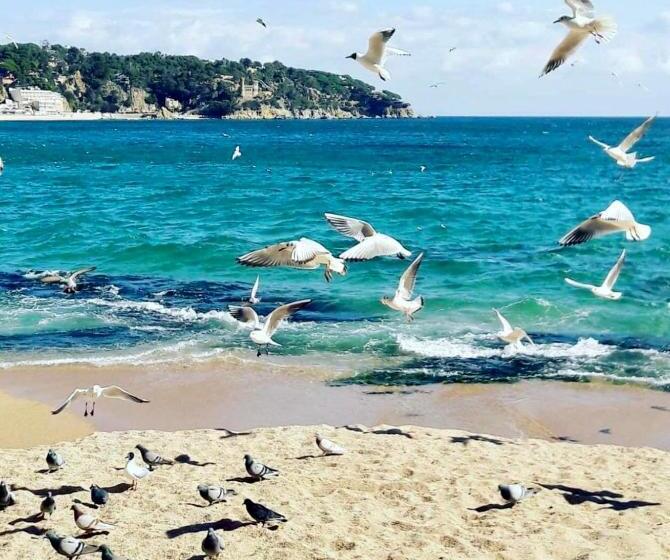 هتل эко отель прованс одесса