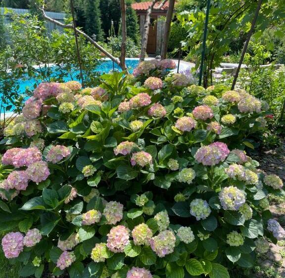 هتل эко отель прованс одесса