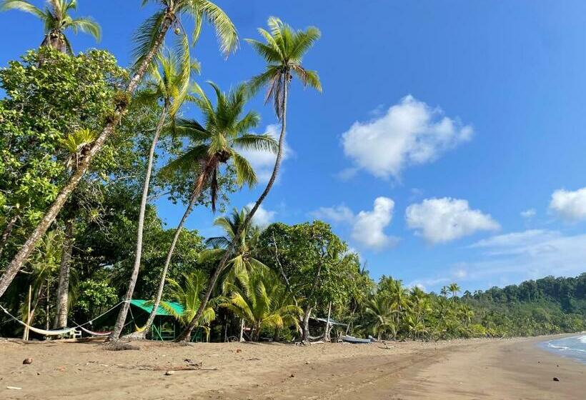酒店 Cabaña En El Rincon Corcovado