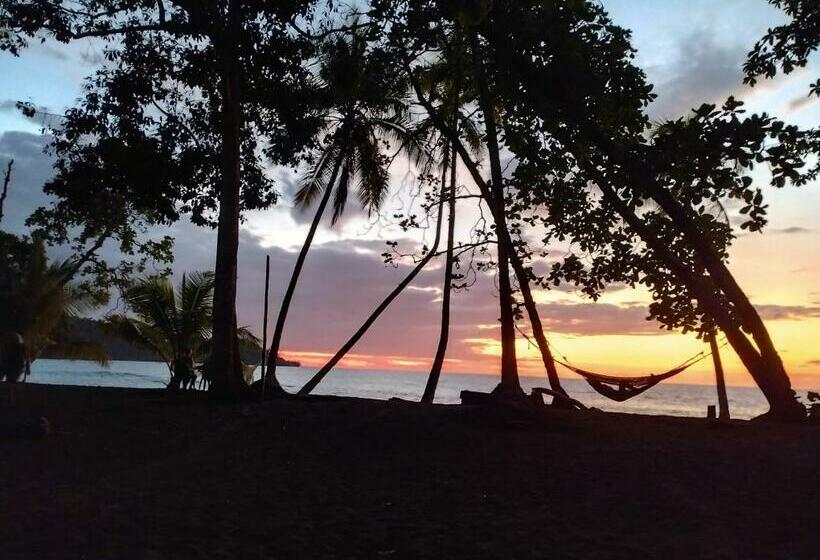 酒店 Cabaña En El Rincon Corcovado