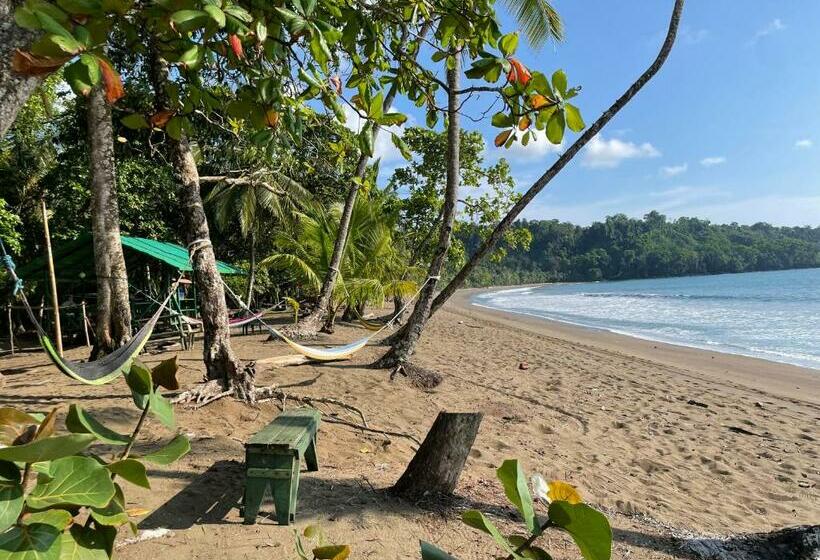 酒店 Cabaña En El Rincon Corcovado