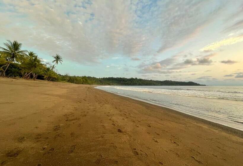 酒店 Cabaña En El Rincon Corcovado