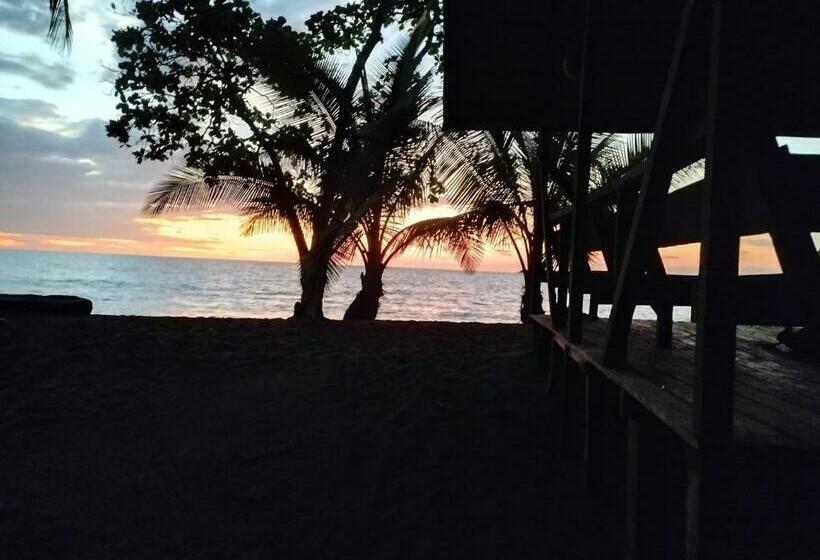 酒店 Cabaña En El Rincon Corcovado