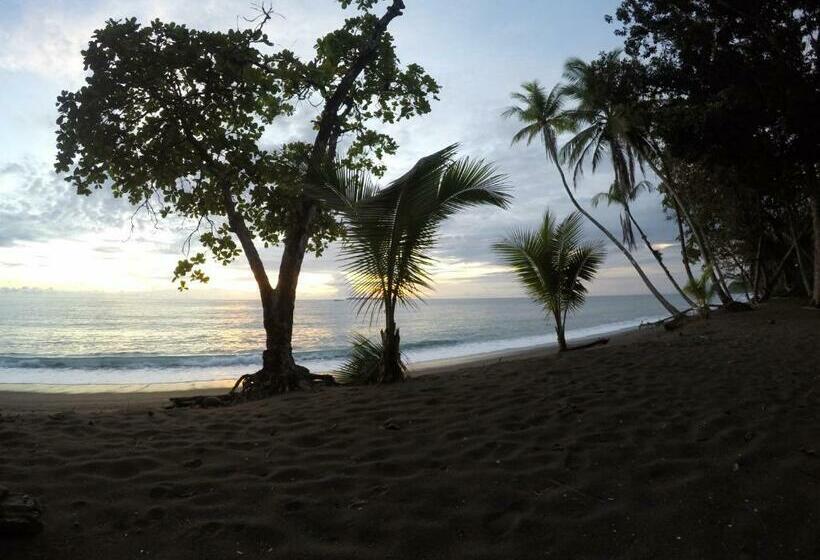 酒店 Cabaña En El Rincon Corcovado