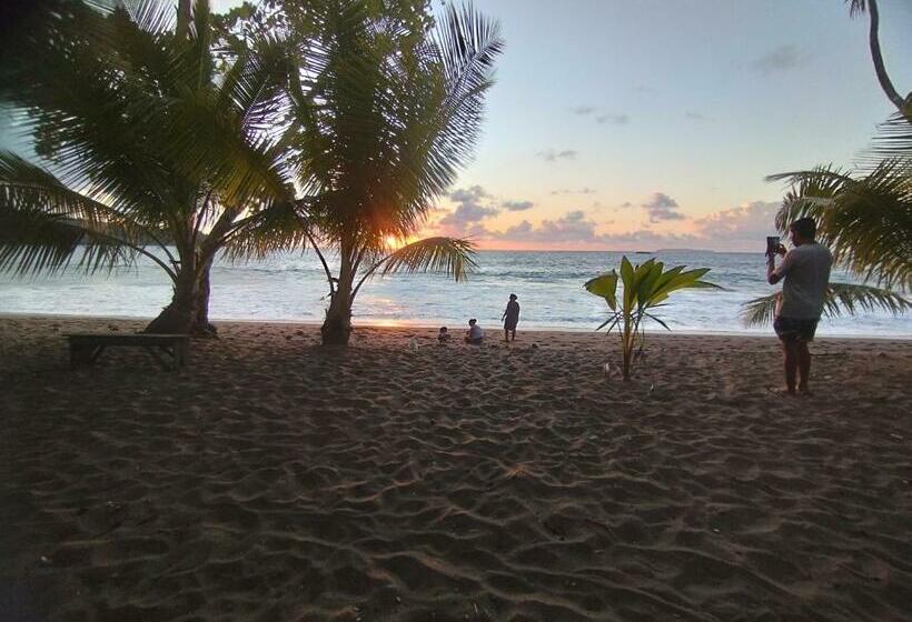 酒店 Cabaña En El Rincon Corcovado
