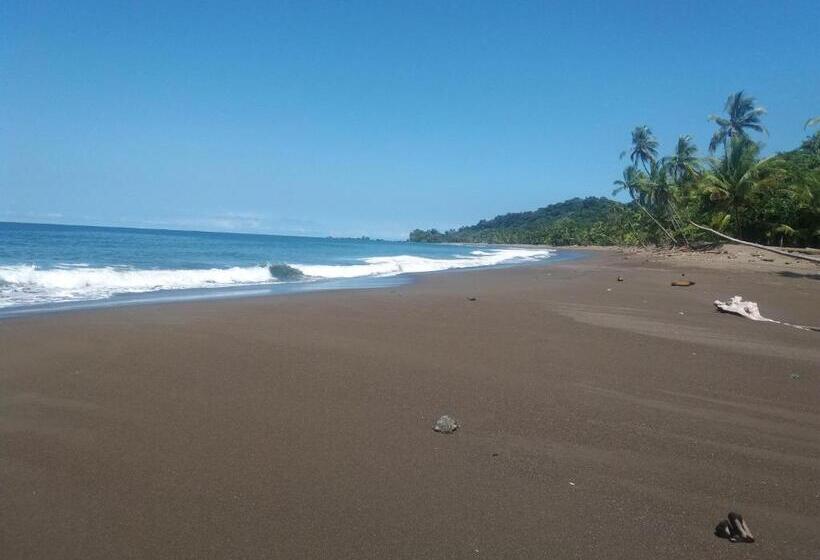 酒店 Cabaña En El Rincon Corcovado