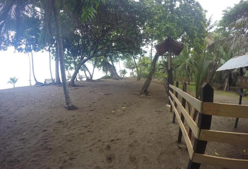 酒店 Cabaña En El Rincon Corcovado