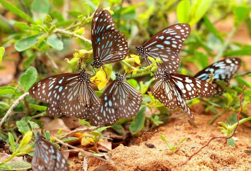 호텔 Leopard Corridor Yala