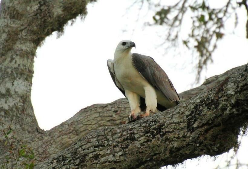 ホテル Leopard Corridor Yala