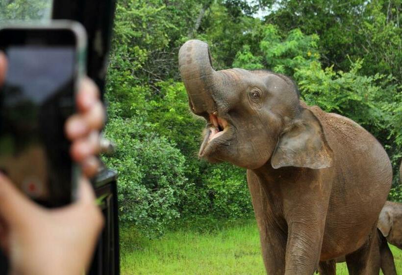 호텔 Leopard Corridor Yala