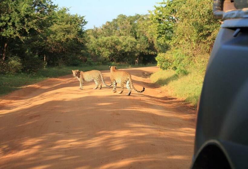 호텔 Leopard Corridor Yala
