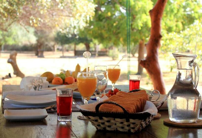 ホテル Leopard Corridor Yala