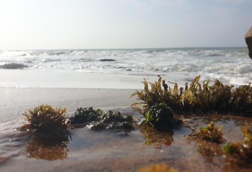 호텔 Leopard Corridor Yala