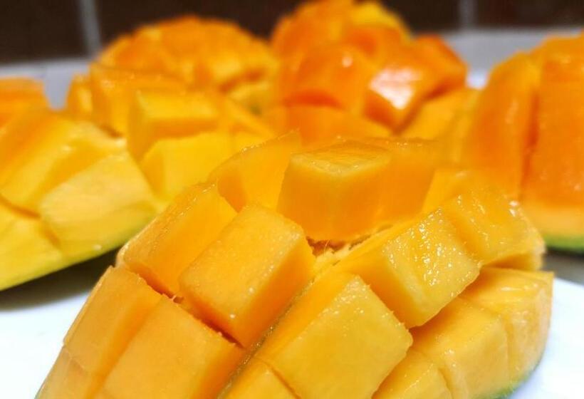 호텔 Leopard Corridor Yala