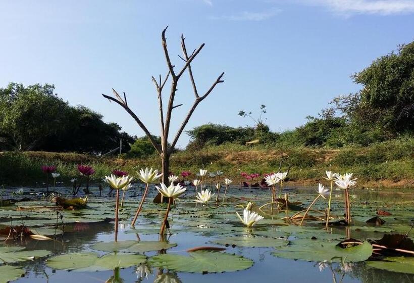 ホテル Leopard Corridor Yala