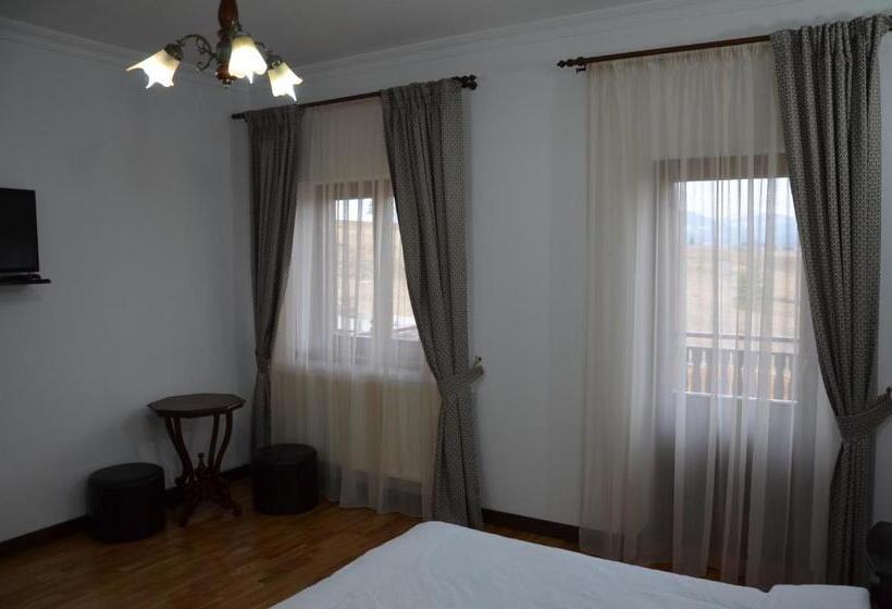 酒店 Pensiunea Zana Muntilor