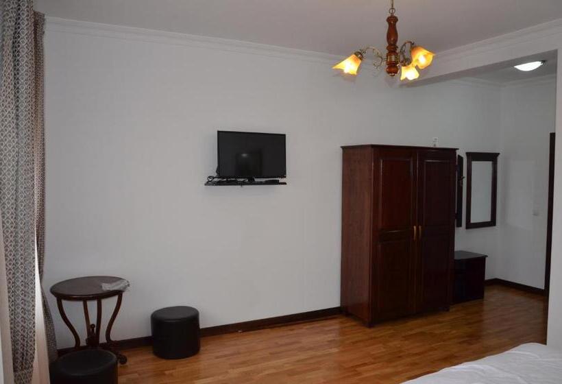 酒店 Pensiunea Zana Muntilor