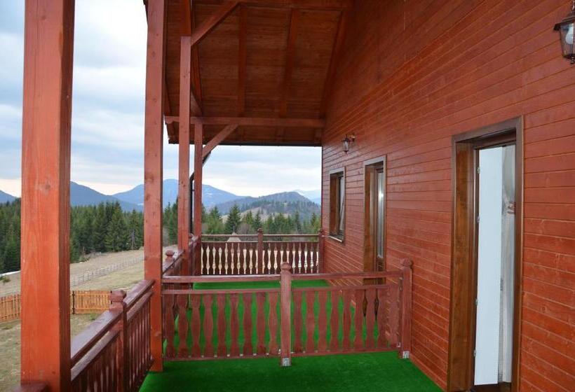 酒店 Pensiunea Zana Muntilor