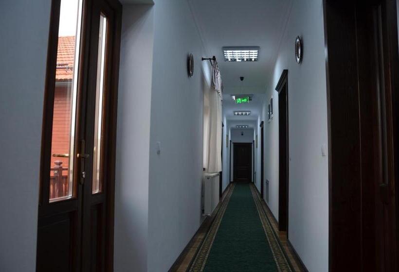 酒店 Pensiunea Zana Muntilor