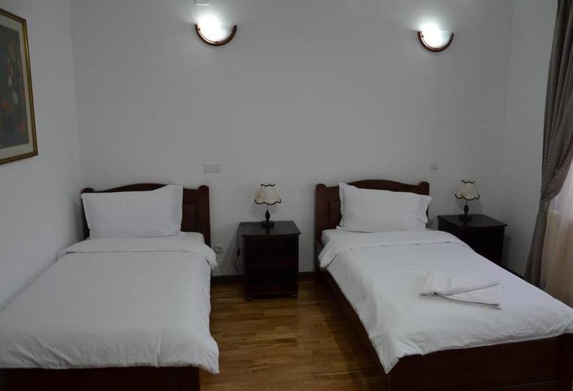 酒店 Pensiunea Zana Muntilor