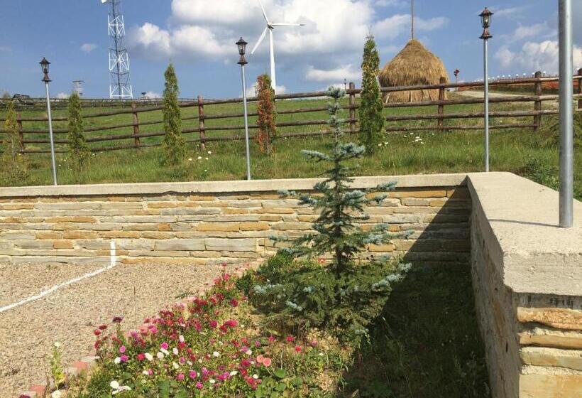 酒店 Pensiunea Zana Muntilor