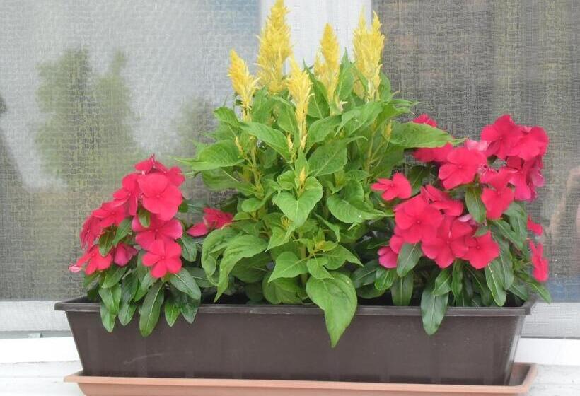 펜션 Attila Vendégház Tápiószentmárton