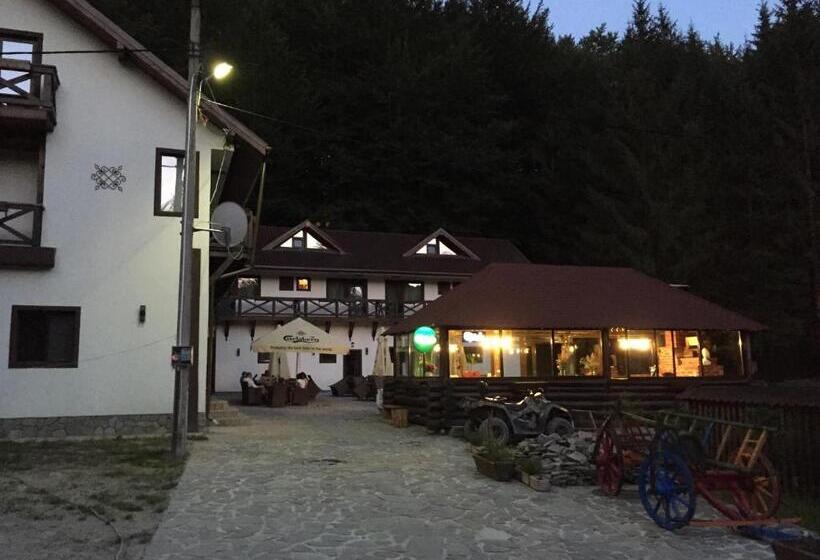 Пансион Conacul Dascalu