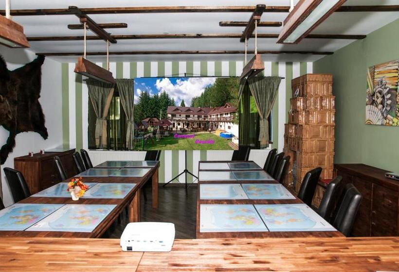 Пансион Conacul Dascalu