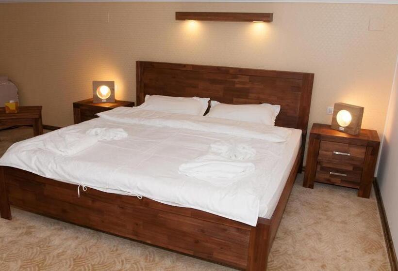 Пансион Conacul Dascalu