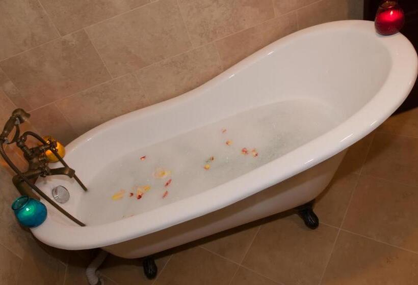 Пансион Conacul Dascalu