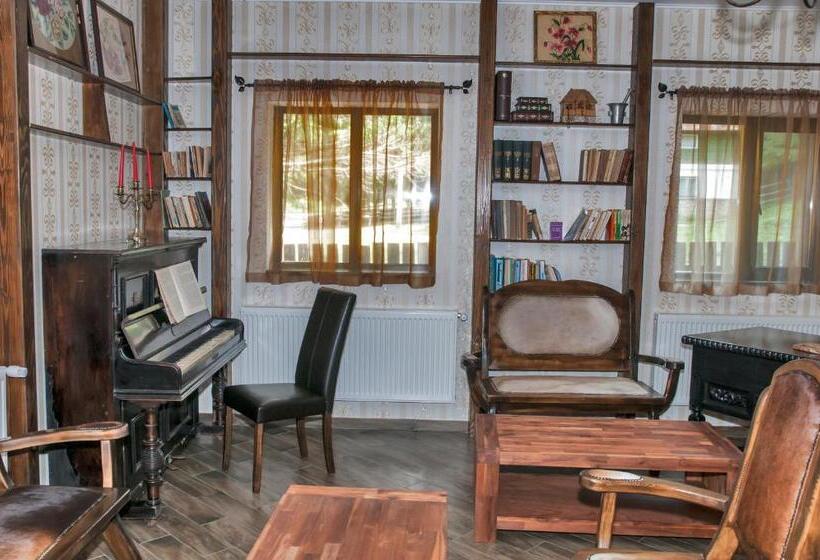 Пансион Conacul Dascalu