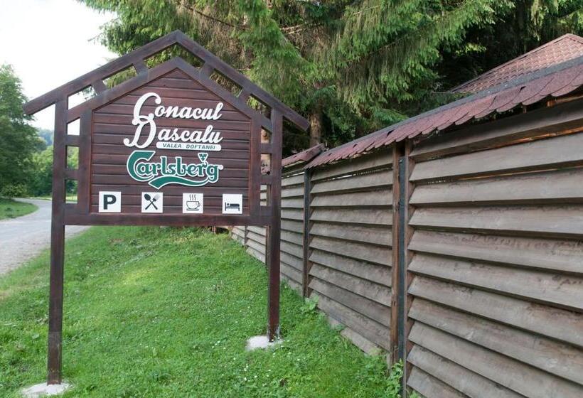 Пансион Conacul Dascalu