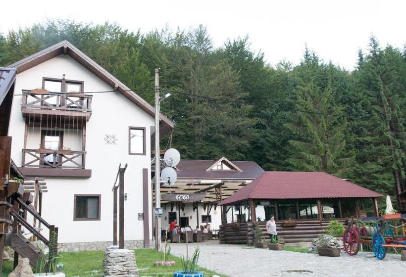 Пансион Conacul Dascalu