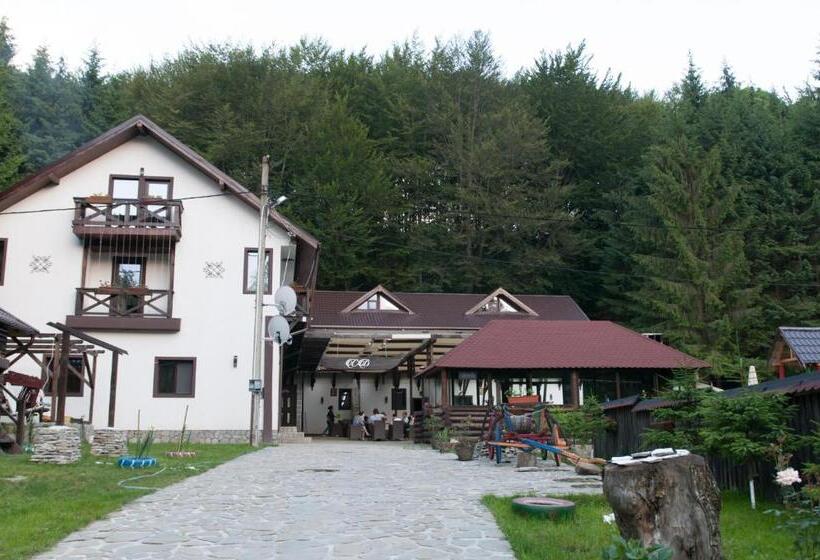 Пансион Conacul Dascalu
