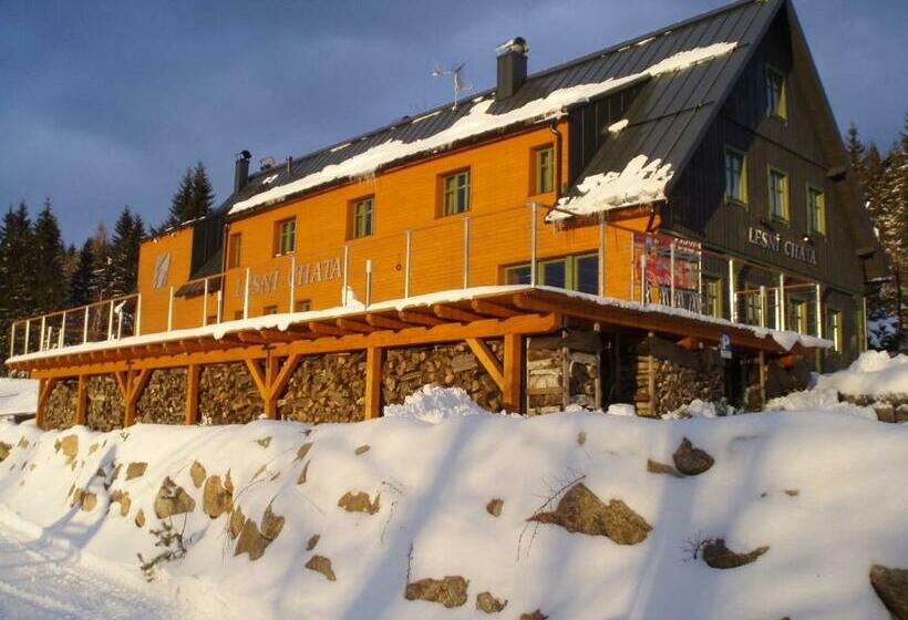 پانسیون Lesní Chata