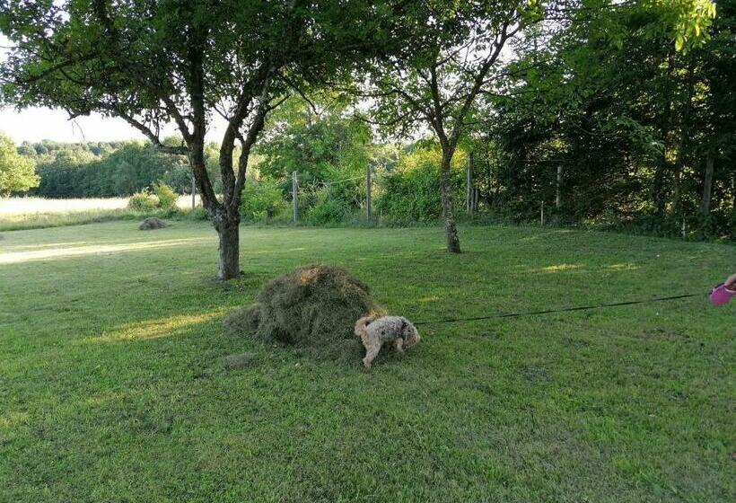 بنسيون Orbán Porta