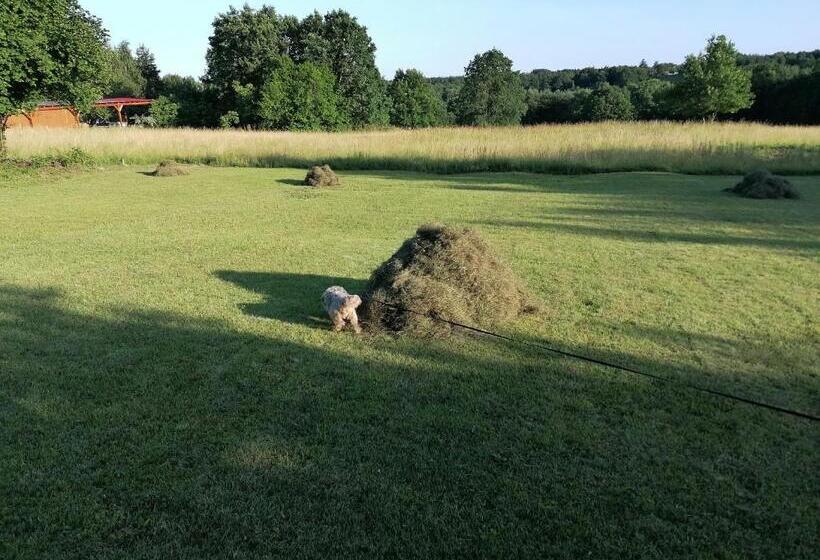 بنسيون Orbán Porta