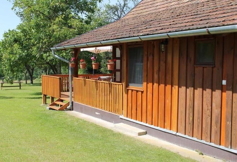 بنسيون Orbán Porta