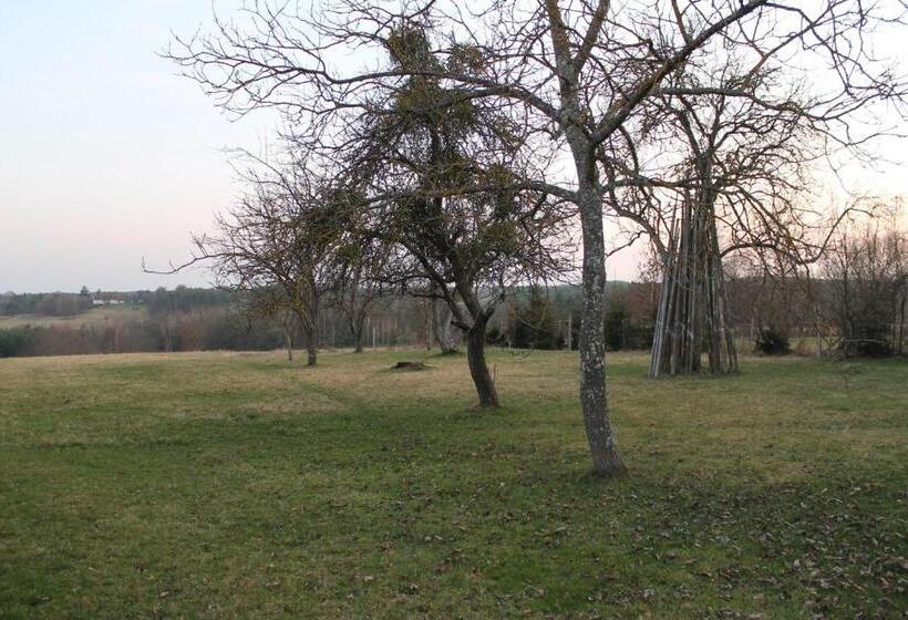 بنسيون Orbán Porta