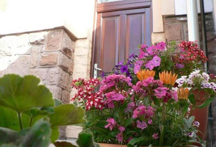 펜션 Penzion Oliver