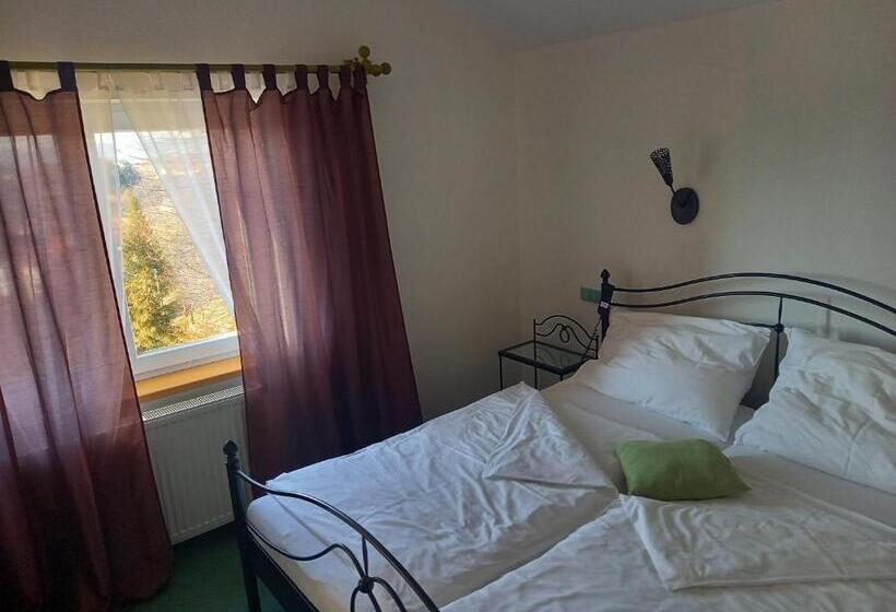 膳宿费 Penzion Starojicka Pizza