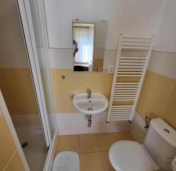 بنسيون Restaurace A Penzion Vrtule