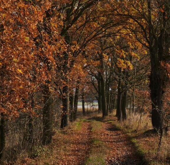 פנסיון Wellness Hotel Boží Oko
