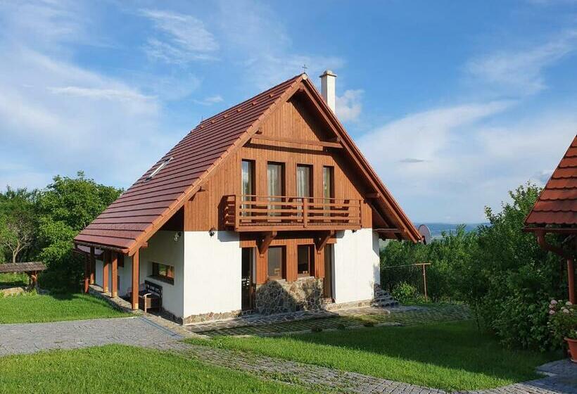 Pensiunea Szilas Panzió