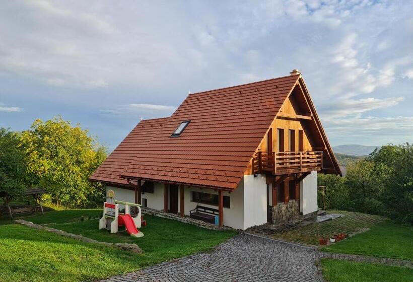 Pensiunea Szilas Panzió