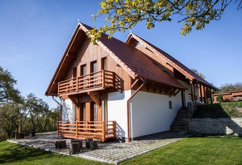 Pensiunea Szilas Panzió