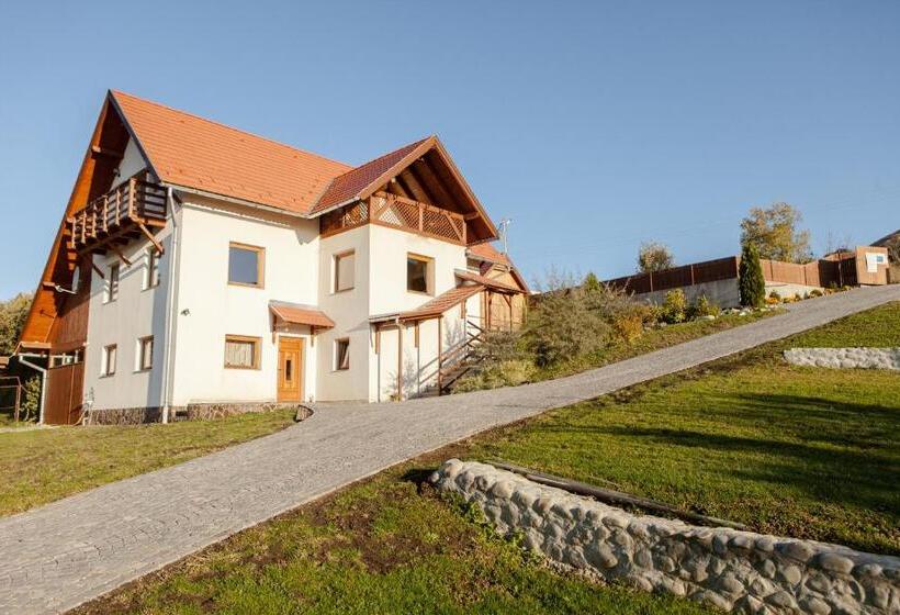 Pensiunea Szilas Panzió