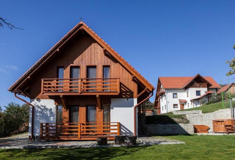 Pensiunea Szilas Panzió